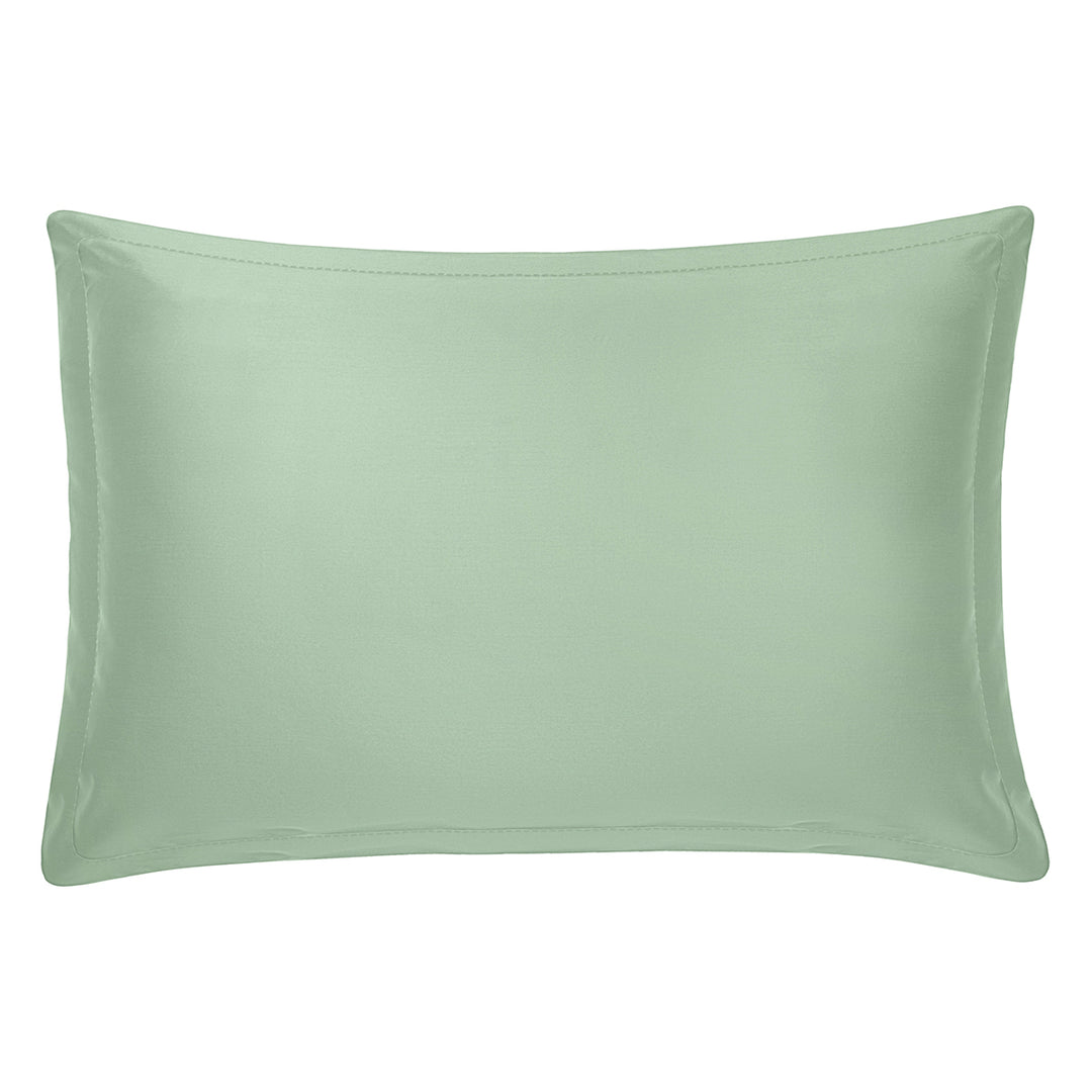 Giza Cotton Shams