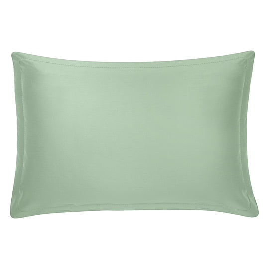 Giza Cotton Shams