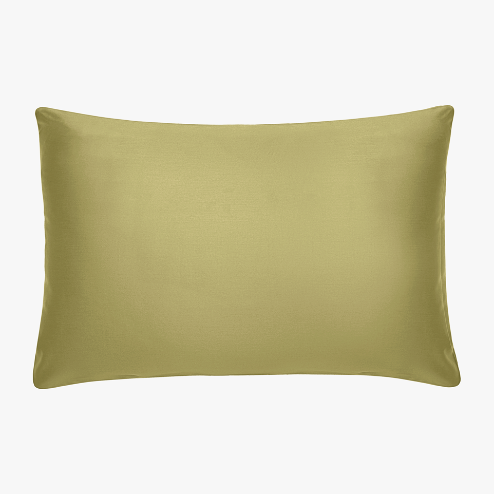 Solid Sage Green Cushion