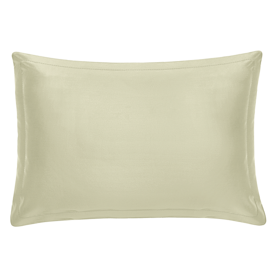 Solid Silver Green Pillow with Shams